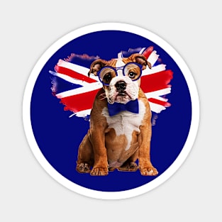 English Bulldog Puppy in Glasses Magnet